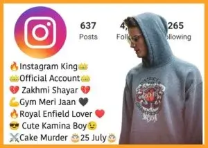 unlimited Instagram bio quotation, name in Hindi