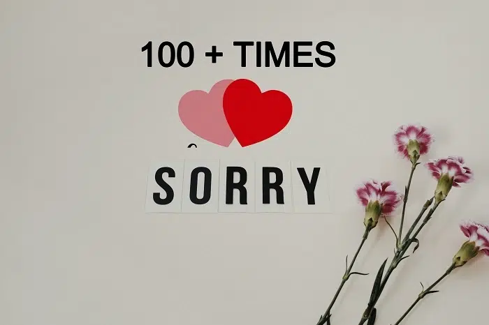 100 Times Sorry Message Copy Paste