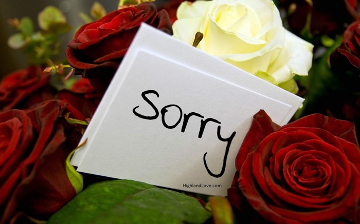 100 Times Sorry Sorry Copy Paste