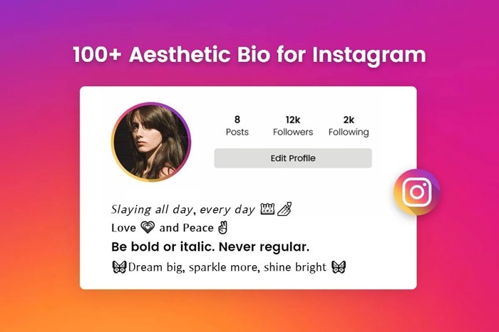 Template Bio Discord Aesthetic