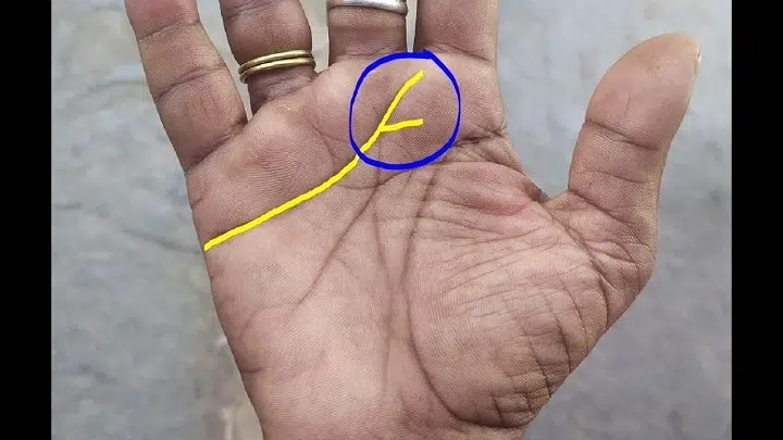 Vishnu Symbol on Heart Line: Meaning, Signs, and Spiritual Insights in Palmistry vishnu symbol on heart line