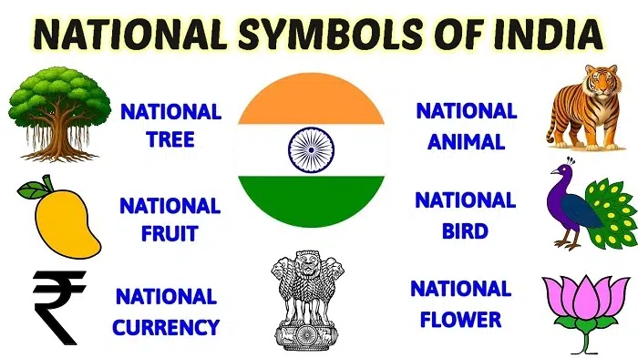 Why Symbols like ₹ are So Significant