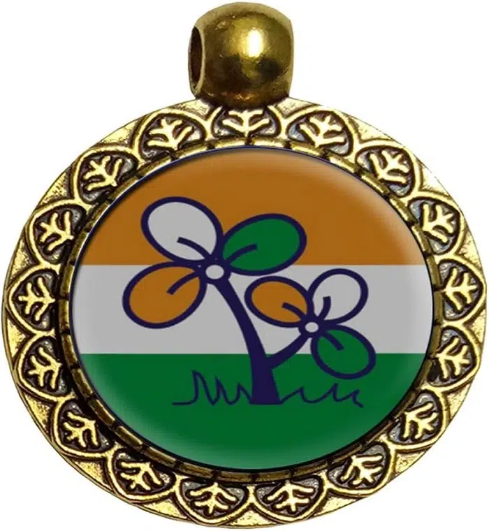 Design of Trinamool Congress Symbol