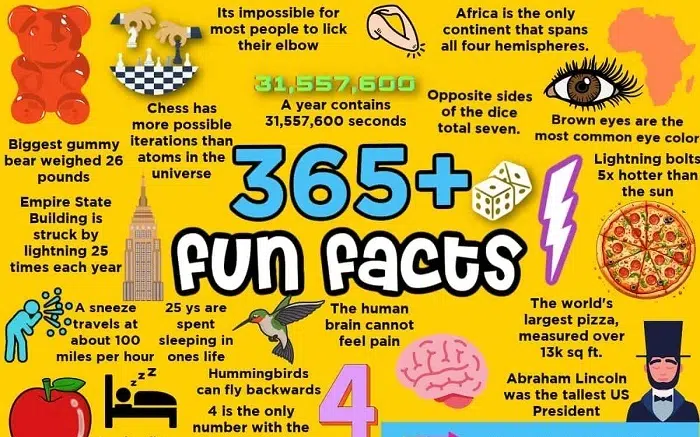 Quick Facts (The Easy Stuff)