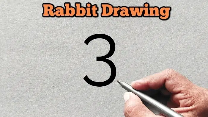 The Rabbit and the Number Three