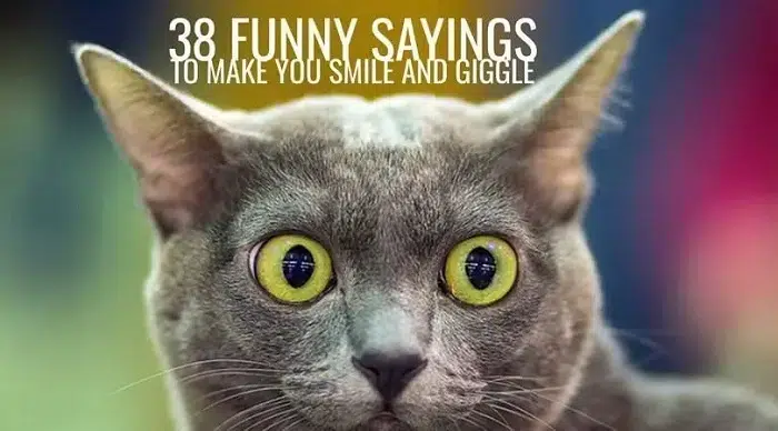 Funny Ones to Make Them Smile