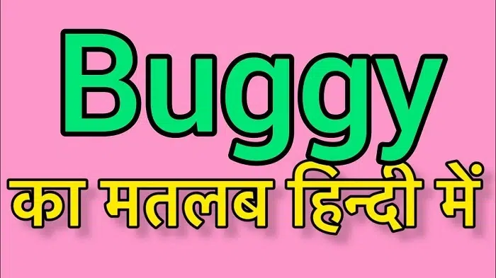 What Is the Meaning of Buggu in Hindi